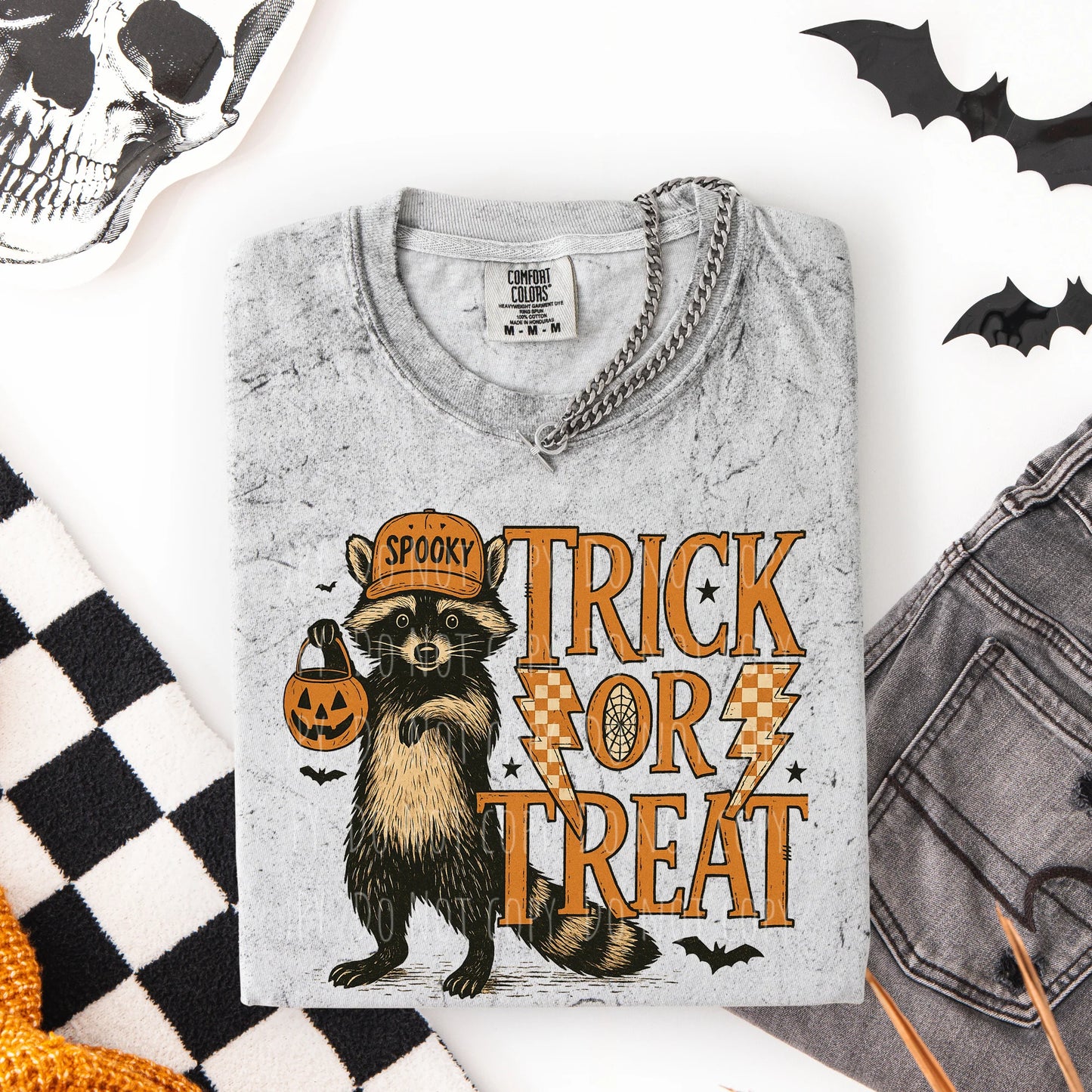 Trick or Treat Racoon