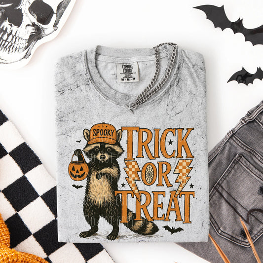 Trick or Treat Racoon
