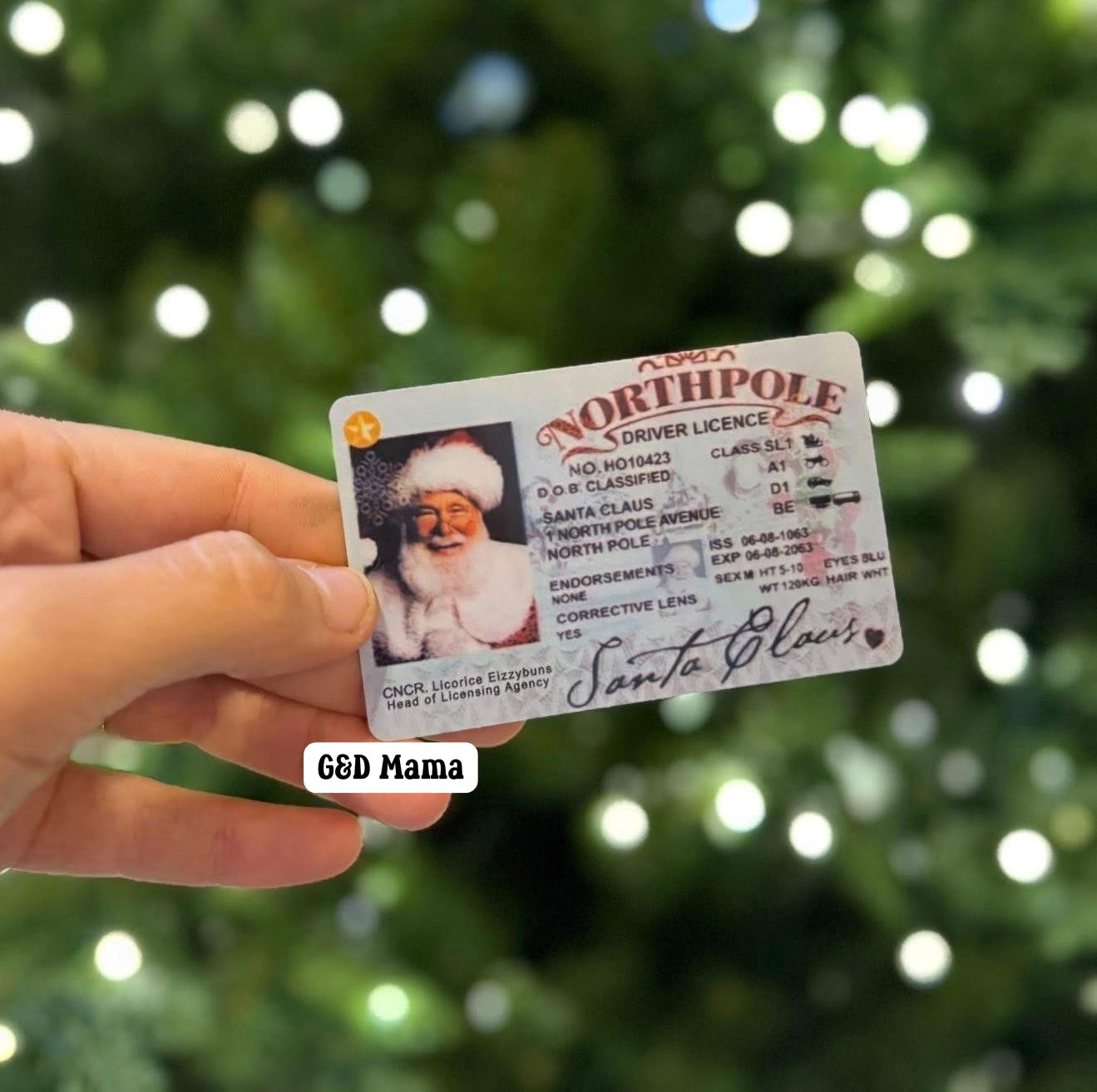 Santa's Official License