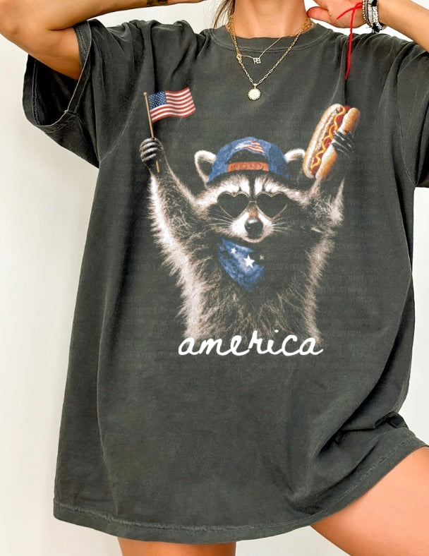 American Raccoon