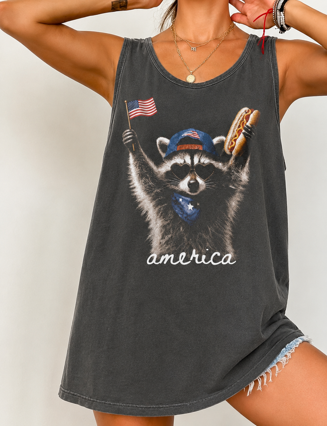 American Raccoon